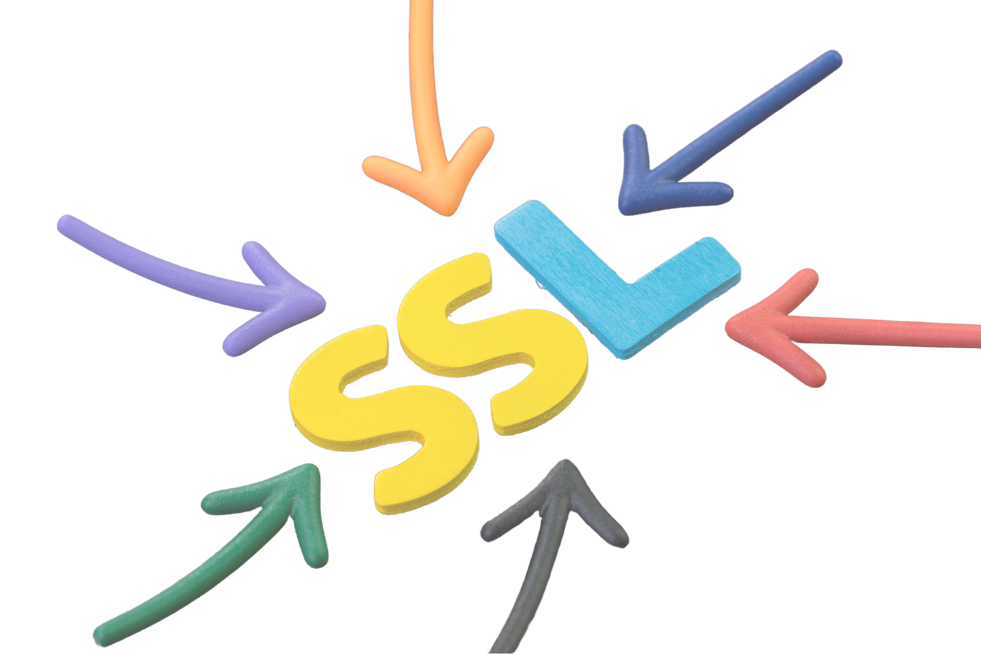 SSL Nedir? SSL Sertifikası Türleri ve Avantajları